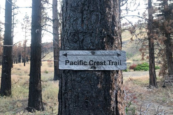 Not letting go: NorCal blues, life lessons and why I chose to quit my perfect thru hike.