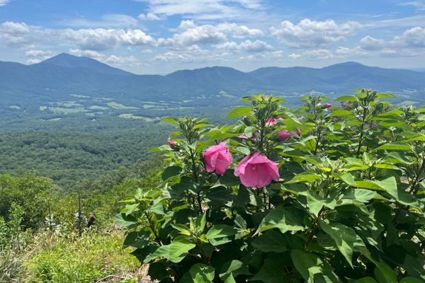AT Days 104-107:  Epic day reveals Blue Ridge beauty