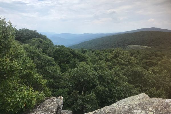 54 Miles of Shenandoah National Park in July: Front Royal to Lewis Mountain Campground, Part 1