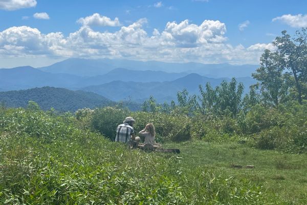 AT Days 132-135: The Roan Highlands Shine!