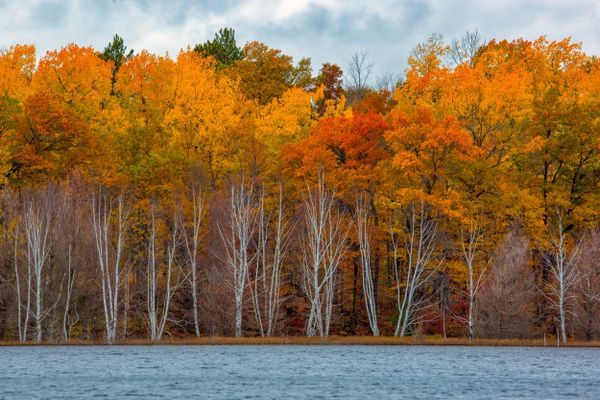 Share Your Favorite Fall Foliage Hiking Photos with The Trek