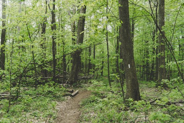A Cautionary Tale of Statins, Thru-Hiking, and Rhabdomyolysis