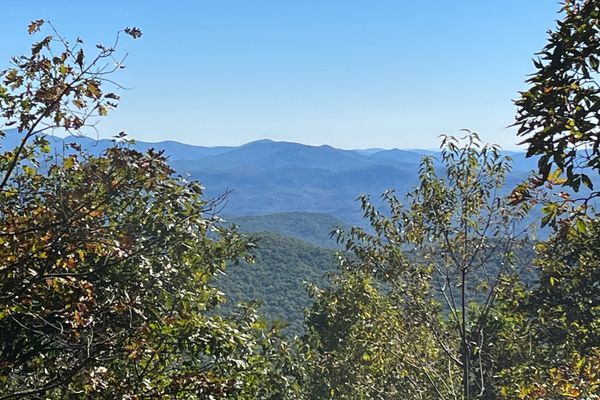 AT Days 156-158:  Georgia brings wildlife, rocky peaks