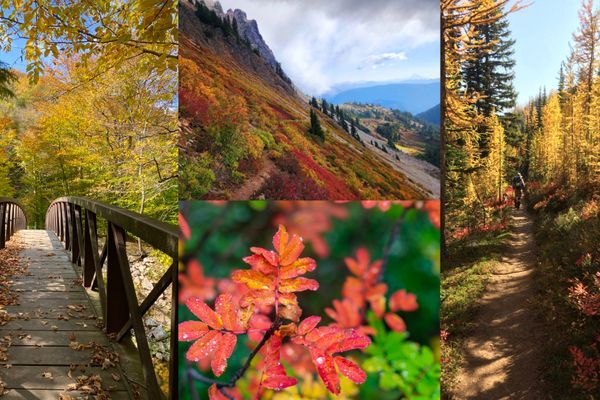 18 Stunning Fall Foliage Hiking Photos to Brighten up Your Day