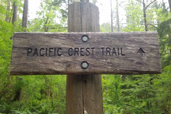 PCT Trail Runner Found Dead in Columbia River Gorge