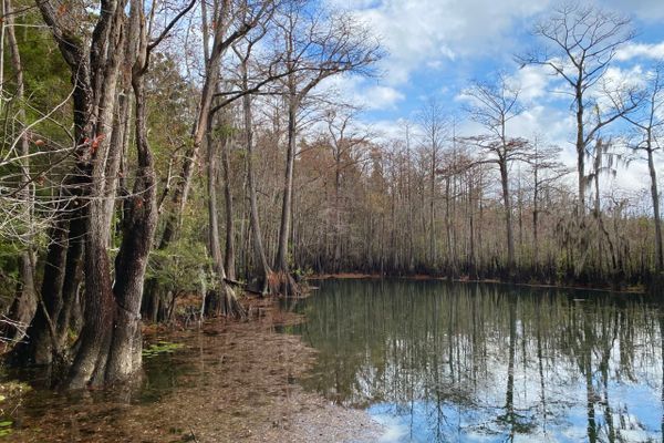 The Florida Trail, Part 2: From the Ocean to the Pines