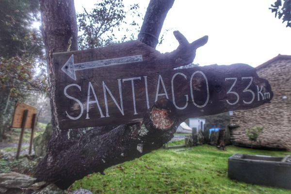 Week 8 on the Camino. Making it to Santiago