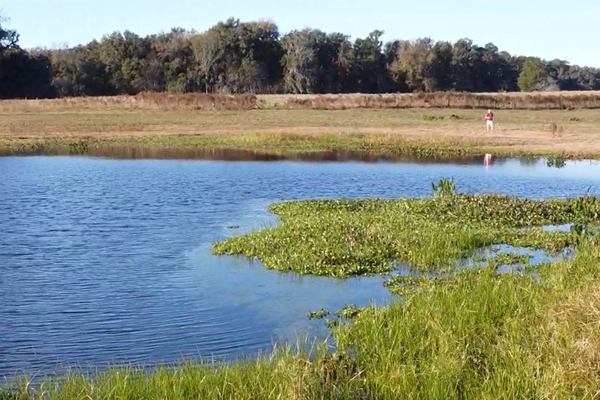 It’s Finally Time for Dirty Gil to Hike the Florida Trail