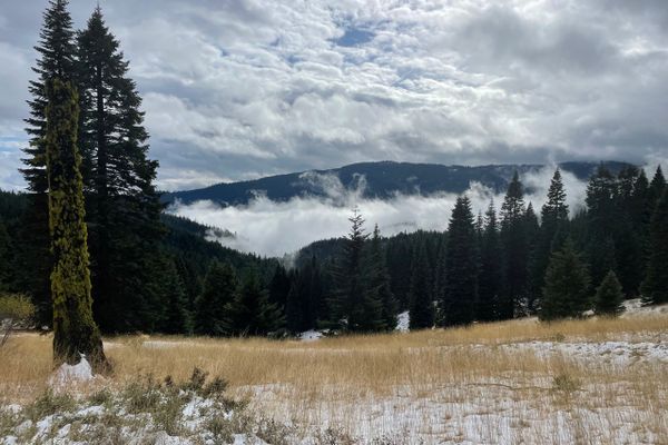 Finishing at the Oregon Border: My Last 24 Hours on the PCT