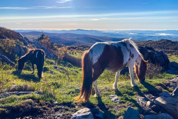 Leaving My Archaeology Job To Hike the Appalachian Trail