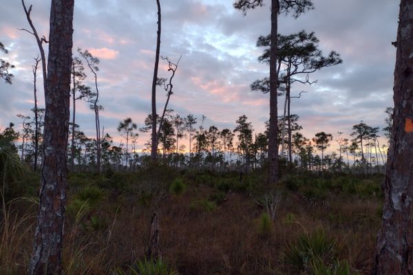 Crossing the Everglades on the Florida Trail