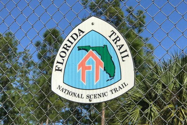 The Formidable Florida Trail!