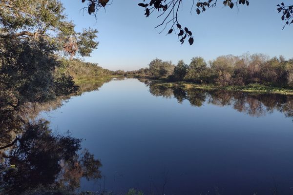 Walking the Kissimmee River Floodplain on the Florida Trail