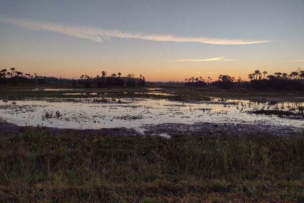 Three Lakes Wildlife Management Area to the Little Big Econ State Park on the Florida Trail