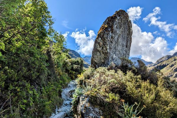 Te Araroa Side Quest: The Routeburn and Caples Tracks