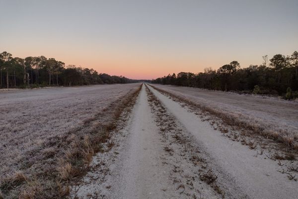 The Deseret Road Walk on the Florida Trail