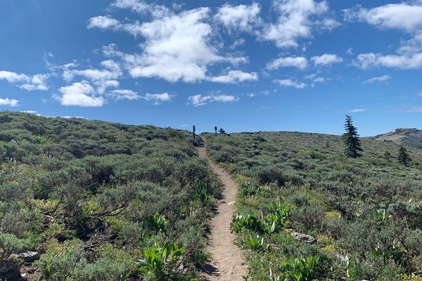 Hiking The PCT With Anxiety: A Paradox Of Planning