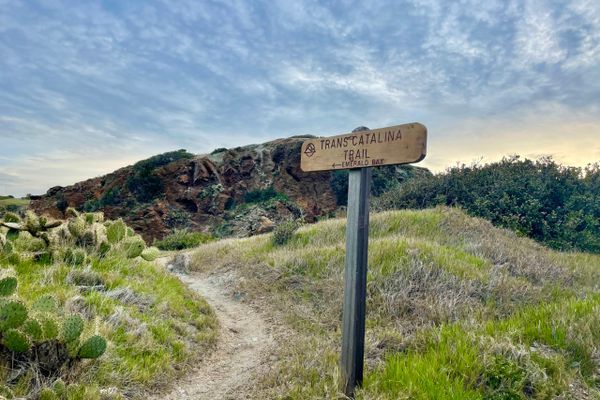 Take Me Back to Catalina: Winter Hiking the Trans-Catalina Trail