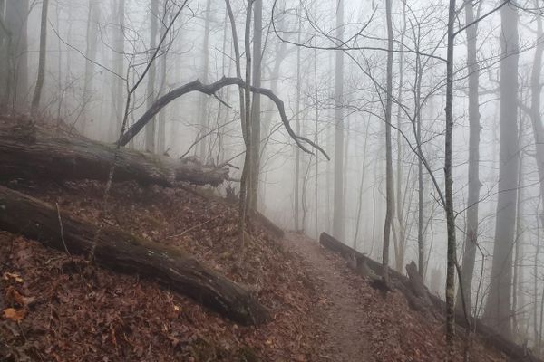 Soup Stories: Hiking While Possessed