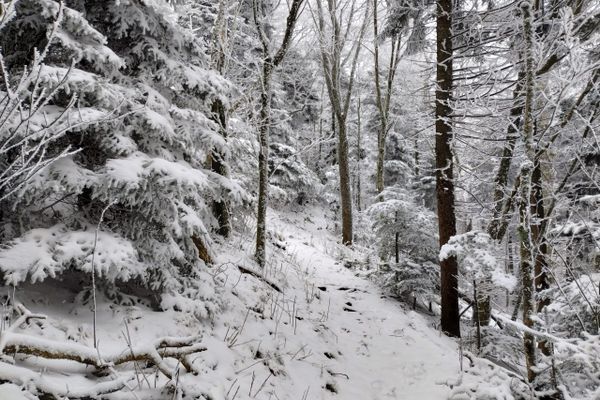 29 Miles of Hiking in the Frozen Snowing Highlands