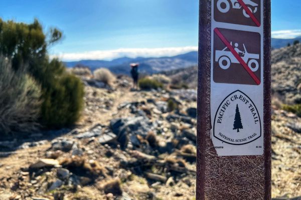 Chapter 6: PCT Week 4: “Decades and A Big Bear”
