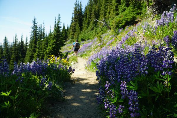 America’s National Scenic Trails: A Need For Shared Stewardship 