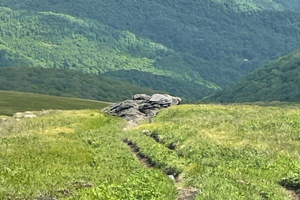 The Roan Highlands: My Favorite Section To Date