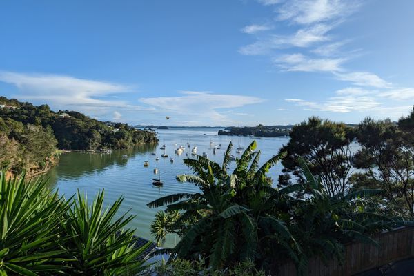 Te Araroa, Days 94-104: Auckland to the Bay of Islands