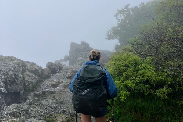 I Survived a Bear Attack on the Appalachian Trail