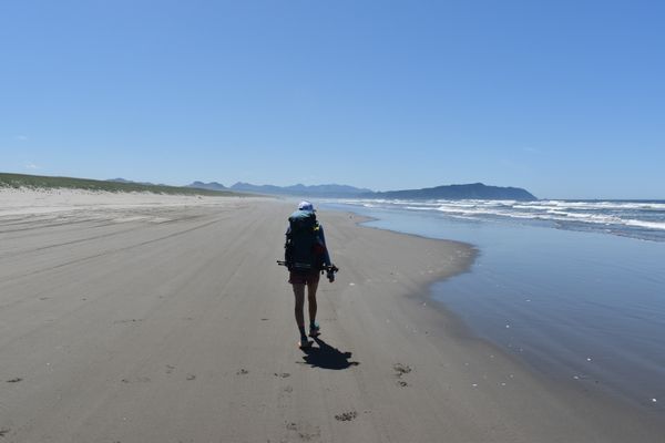 Six Sand-dollars & A Buoy, The Emotions of Leaving