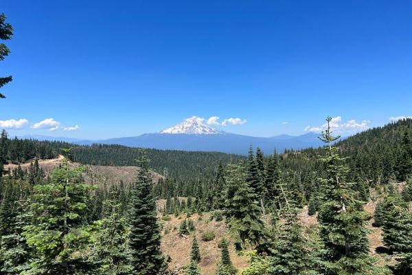 PCT Weeks…I don’t know…Chester to Shasta
