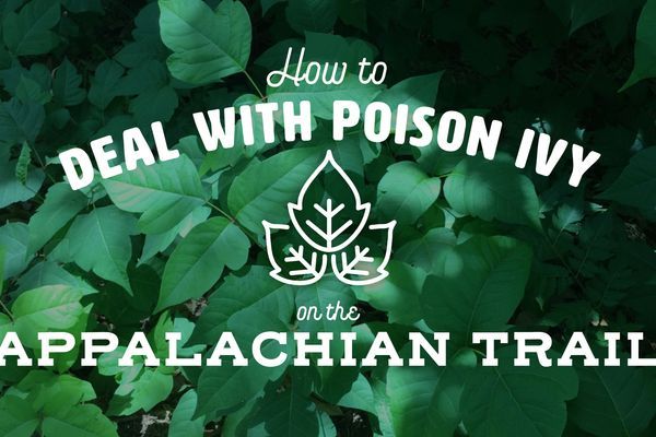 How To Deal With Poison Ivy on the Appalachian Trail