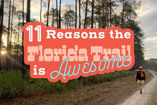 11 Reasons The Florida Trail Is Awesome