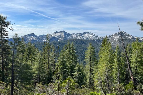 Trail Update Number Seven; NorCal <s>Blues</s> Beauty!