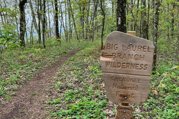 A 196 Mile Appalachian Trail Section Hike in May: Damascus to Hot Springs, Part 1