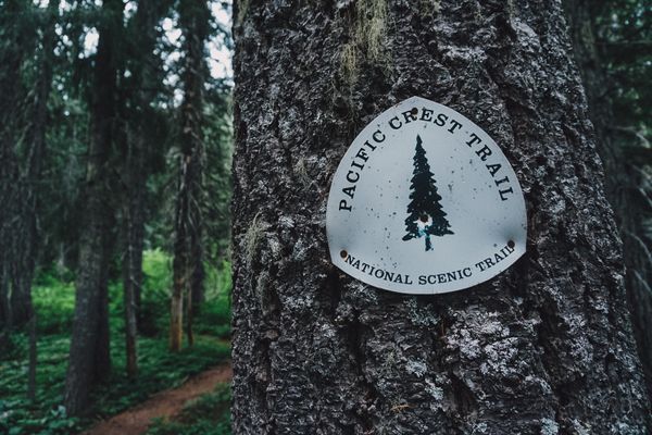 PCT, A Break from Life