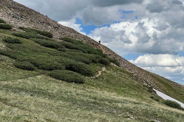 This Trail Could Kill Me – Colorado Trail Thru-Hike, Part 3
