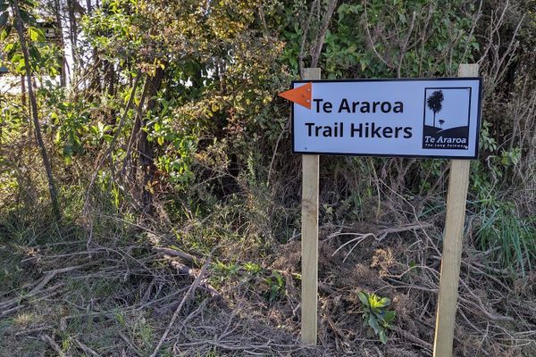 Following Orange Triangles (and Black Chevrons): Why I’m Hiking Te Araroa Trail