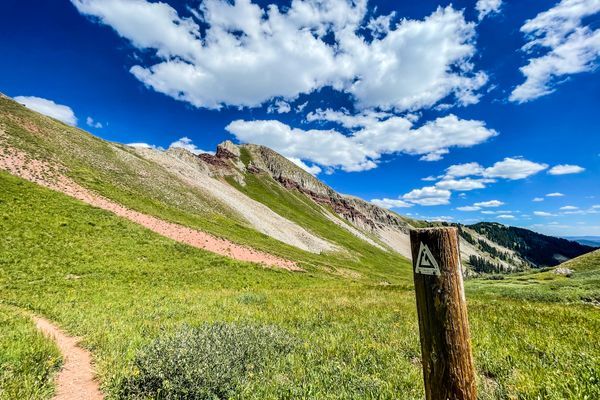 Oh, So These Are Trail Legs: Colorado Trail Days 18-19