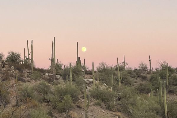 Arizona Hike: Post-Hike Review Part 1
