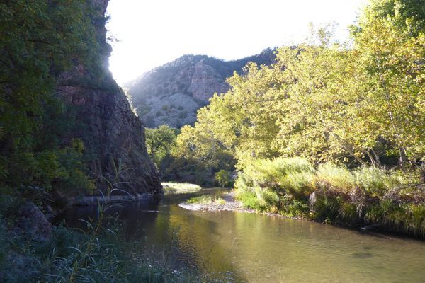Surviving The Gila River Alternate