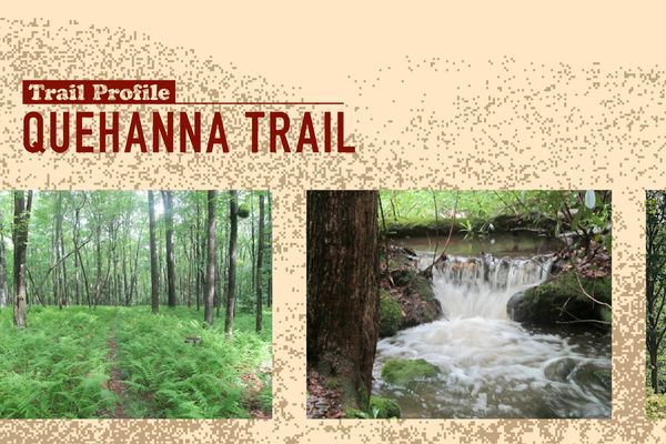 The Quehanna Trail: Finding Solitude in the Pennsylvania Wilds