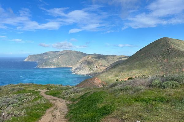 The Trans Catalina Trail:  a Jewel of the Pacific