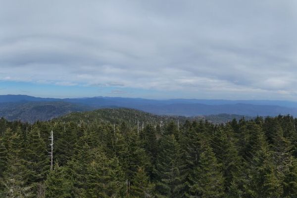 Day 24: Clingman’s Dome…And Bears? Licking Shirts?