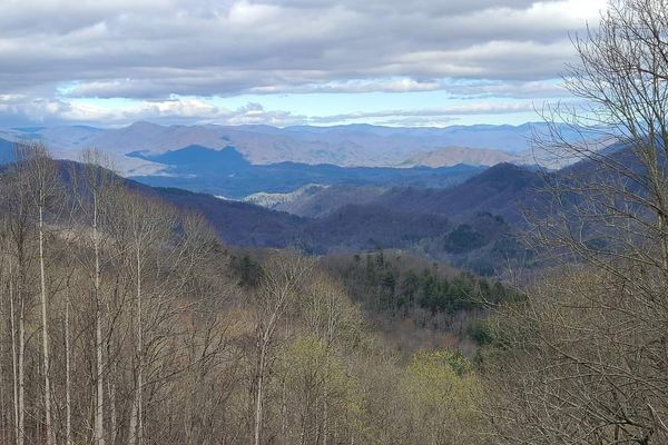 April 1-10; Hiking the AT, the Dragon, an Eclipse, Morels, and How I Left My Trail Legs in Arkansas