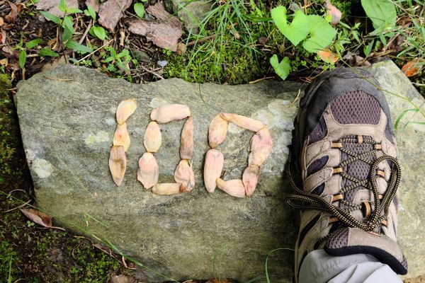 Quiet Man Hikes the AT: Why