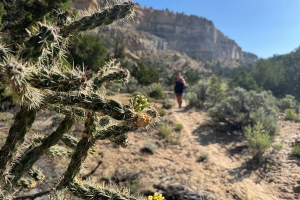 Going the Wrong Way : Cumbres Pass to Ghost Ranch