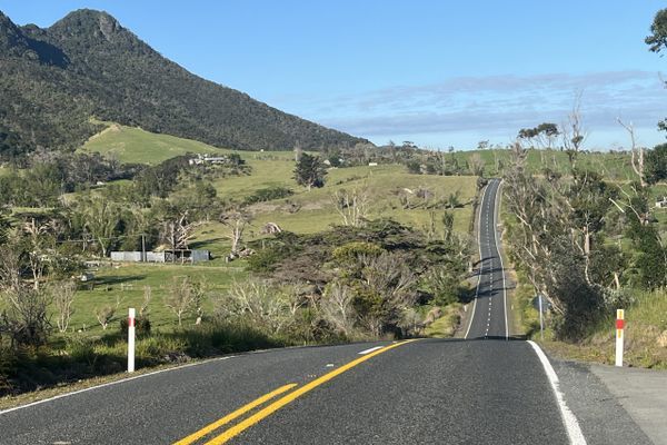 The Hitchhiker’s Guide to Te Araroa