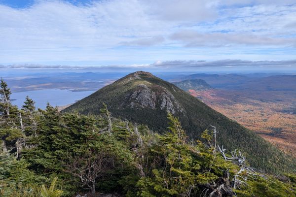 Day 182 – The Beautiful Bigelows