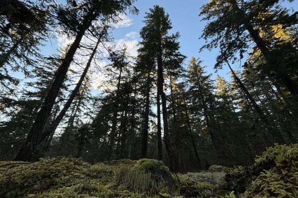 The Falls that Led Me to the PCT